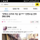 멀쩡한 강아지 안락사 SNS 인증 이미지