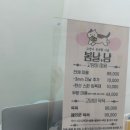 봄날냥 이미지