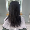 살롱엘(salon L)