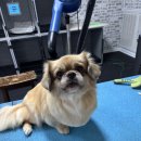 ADHD 이미지