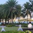 우렁찬태권도 이미지