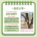 팀솔 이미지