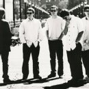 오아시스 이미지