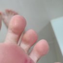 영빈파크 이미지