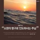 소원의항구 이미지