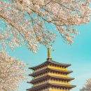 신평동1080 이미지