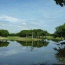 유니 랜드 이미지