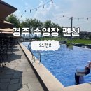 도도펜션 | 경주 수영장 펜션 추천 도도펜션 보니타201호 후기