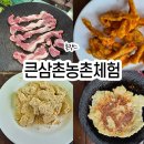 강아지삼촌 | 힐링&amp;치유 촌캉스 &#39;큰삼촌농촌체험&#39;