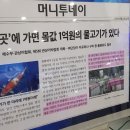 아쿠아펫랜드 이미지