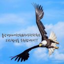 연세영수전문학원 - 강릉시 강변로114번길 5 | 연세영수전문학원