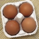 비타민이야기 이미지