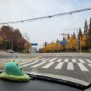 순창군공용터미널 | 순창 떡볶이 페스타 방문 후기 (일정, 입장료, 가격대 등)