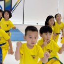 더원 태권도장 이미지