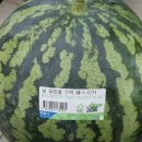 6즙 네이버블로그
