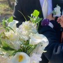 진희 | 강릉 웨딩 스냅 _ 진희이모 _ 촬영 후기 _ 헬퍼 추천