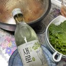 참다래 | 새로 다래 소주 가격 도수 용량 후기 살구 참다래 중 승자는