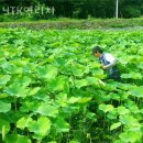 연리지농장 이미지