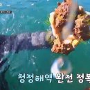 해녀민박 이미지