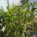 방자농장 이미지