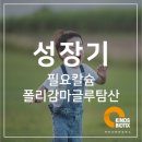 (주)카인즈바이오틱스 이미지
