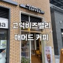 매머드 전자 이미지