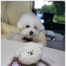 미단씨티10호공원 화장실 네이버블로그
