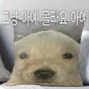 방가방가피부샵 | 고진감래 : 고용해주셔서 진짜 감사한데 집에갈래