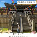 그랜드백화점 앞 가판대 자판기 | 경주 불국사 입장료 불이문 주차장 코스 6월 경주 가볼만한곳