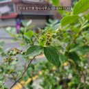 경성부동산공인중개사사무소 이미지