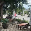 쏨카페 | 베트남 푸꾸옥 현지인 감성 카페 추천 쏨카페 xom coffee bar
