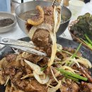 토실배기