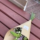 강동헤리티지자이 로또 청약 이유 + 강헤자 꽃집 플러버 후기 (오니소갈룸, 아스틸베, 아가판서스...