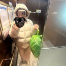 다후 | 암낫큩애니몰