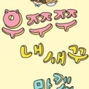 우쭈쭈 내강아지 네이버블로그