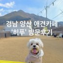 뻘등길 | 경남 양산 애견카페 히푸 후기｜강아지도 사람도 힐링되는 곳 🐶☕️