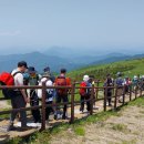 소백산 - 용인시 수지구 문정로 13 | 소백산