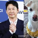 먹다 스타뉴스