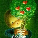 광천중학교 이미지