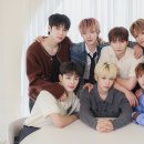 넥스지 카카오 검색결과