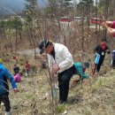 [공지]2014 근혜동산 무궁화동산 가꾸기 식목일 행사 이미지