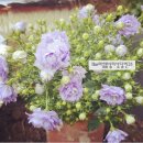 나를 위한 그림책 독서치료 이미지