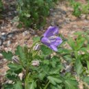 호텔 오월로 이미지