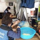 해밀사회봉사단 이미지