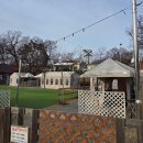 라온캠핑장 | [라온캠프닉] 애견동반 일일 캠핑장! 솔직후기