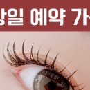 오늘도 클로버