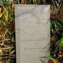 수덕사 선미술관 이미지