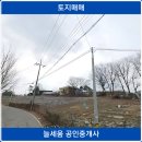 늘세움공인중개사사무소 이미지