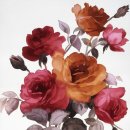 멍멍야옹 이미지