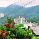 만덕백양체육공원 옆 이미지